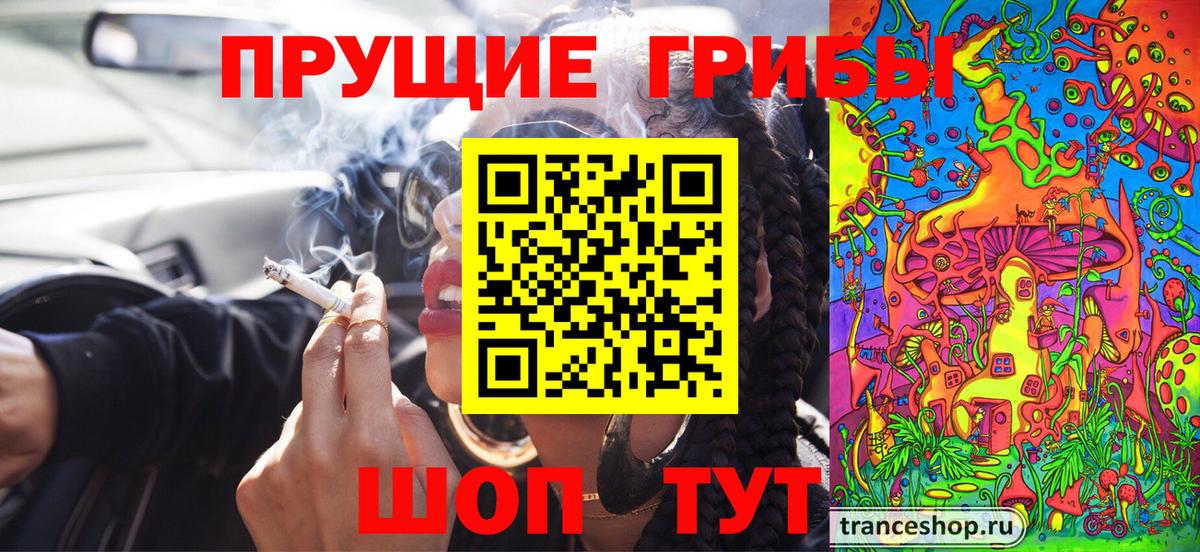 Псилоцибиновые грибы Psilocybe Сочи